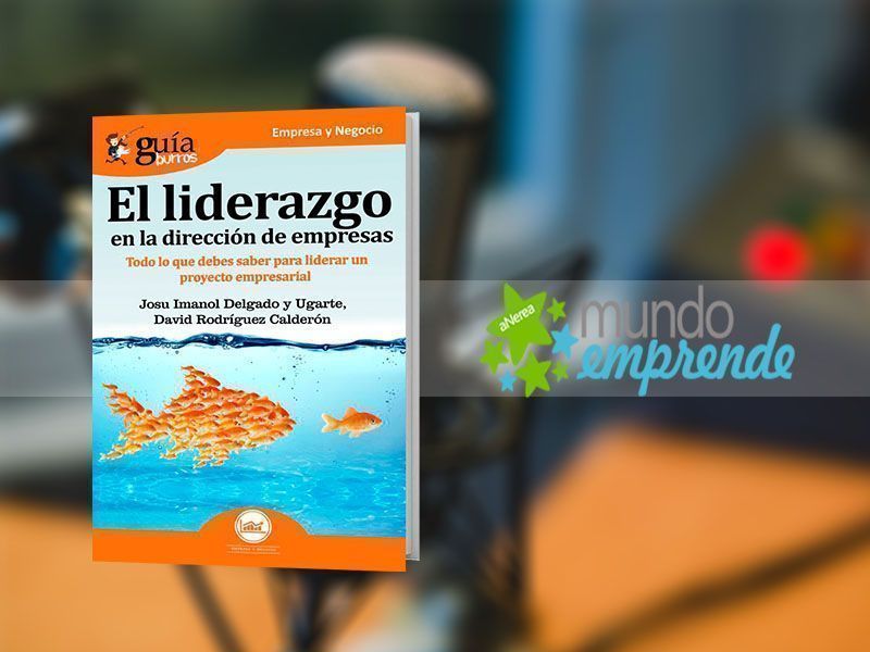 Liderazgo en la dirección de empresas